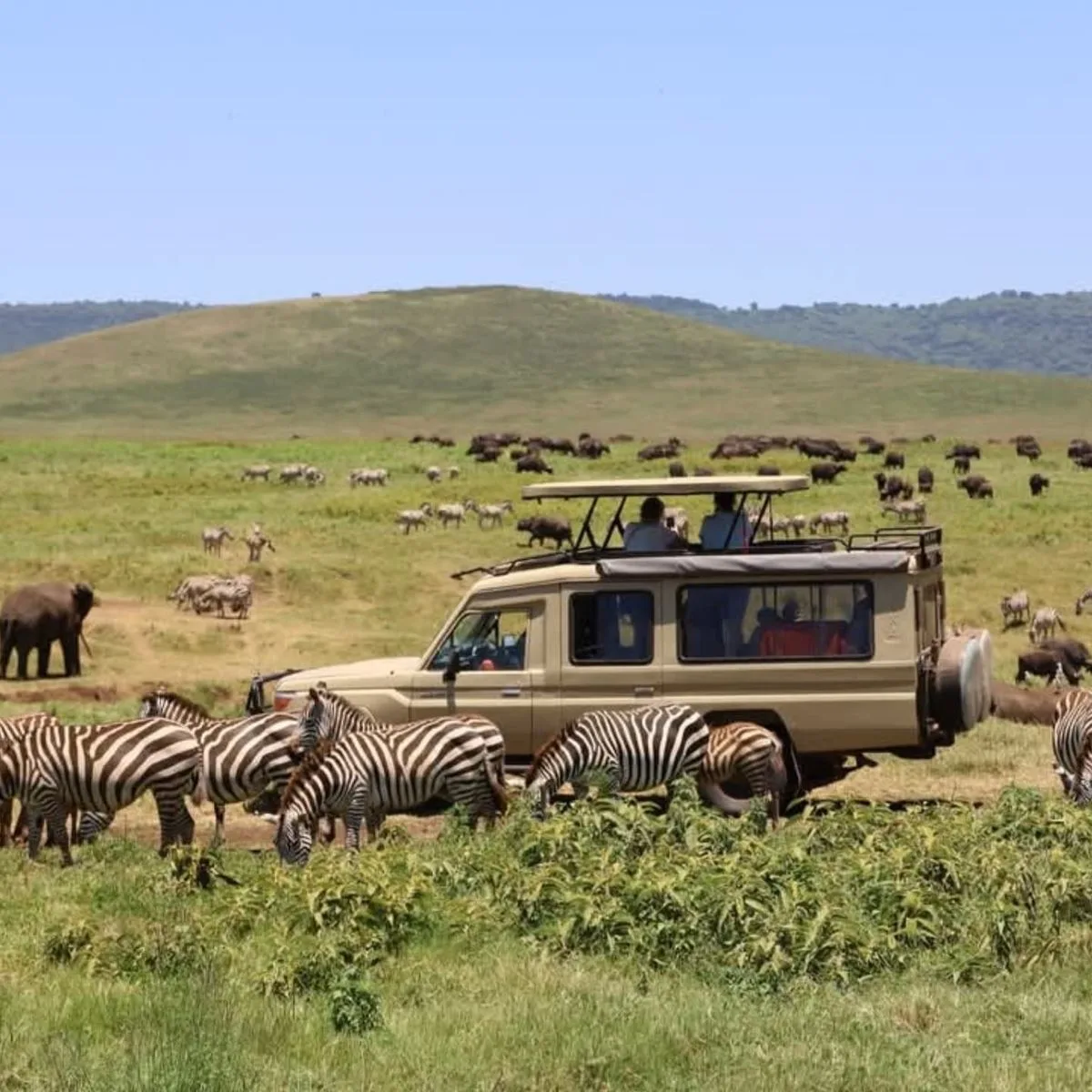 A safari vehicle on the floor of Ngorongoro Crater