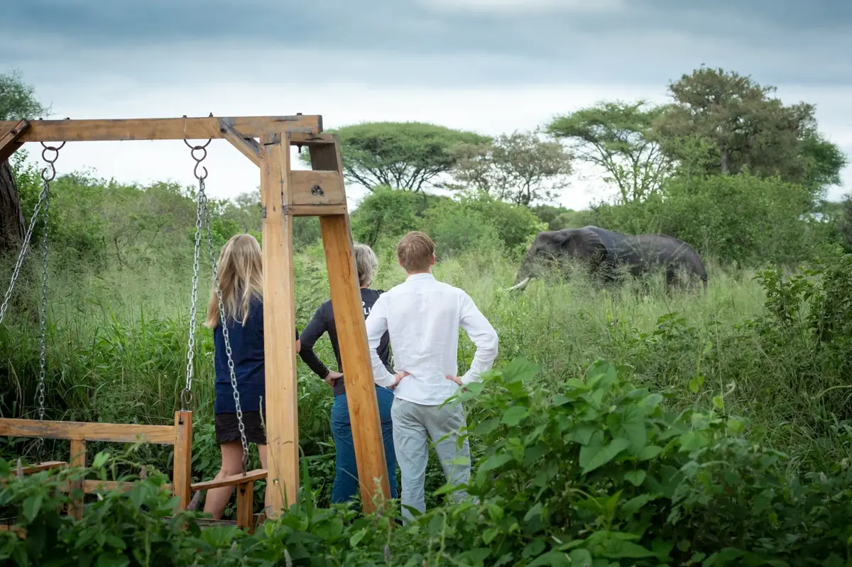 Baobab Tented Camp Tarangire, photo 4