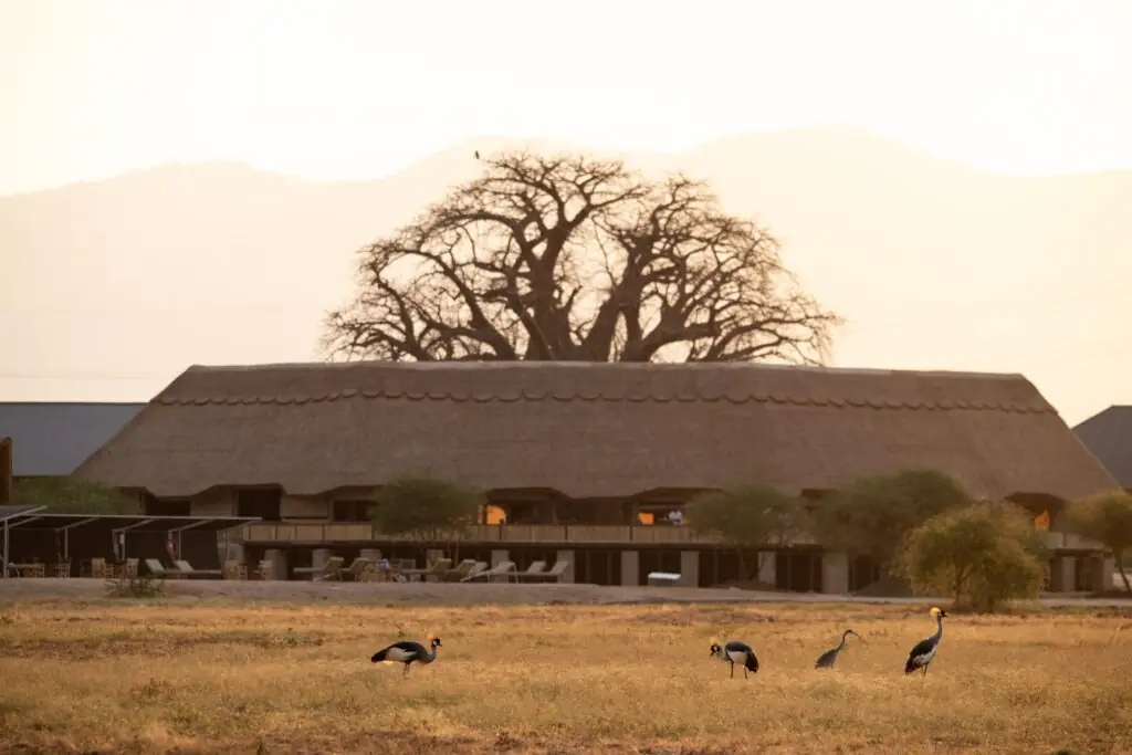 Burunge Tented Lodge, photo 3
