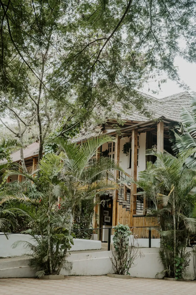 Eileen's Trees Inn, photo 4