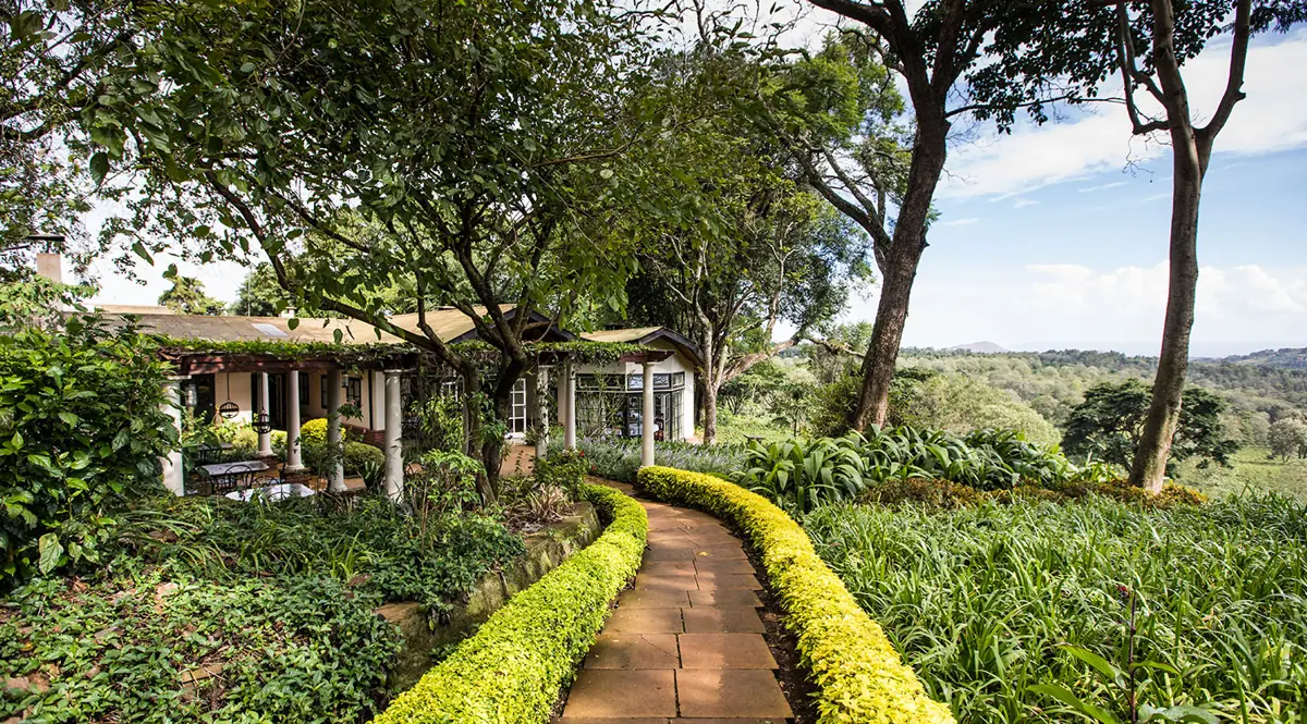 Gibb's Farm, photo 3