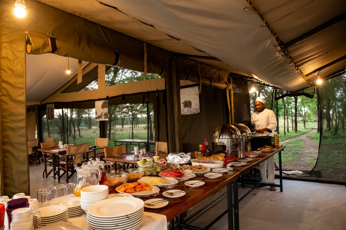 Kati Kati Camp (Central), photo 3