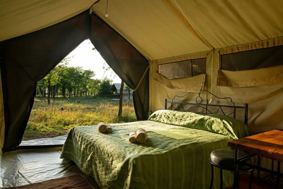 Kati Kati Camp (Central), photo 5