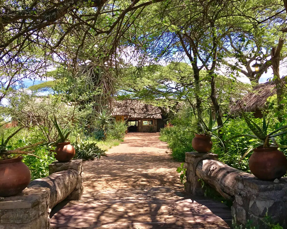 Ndutu Safari Lodge, photo 2