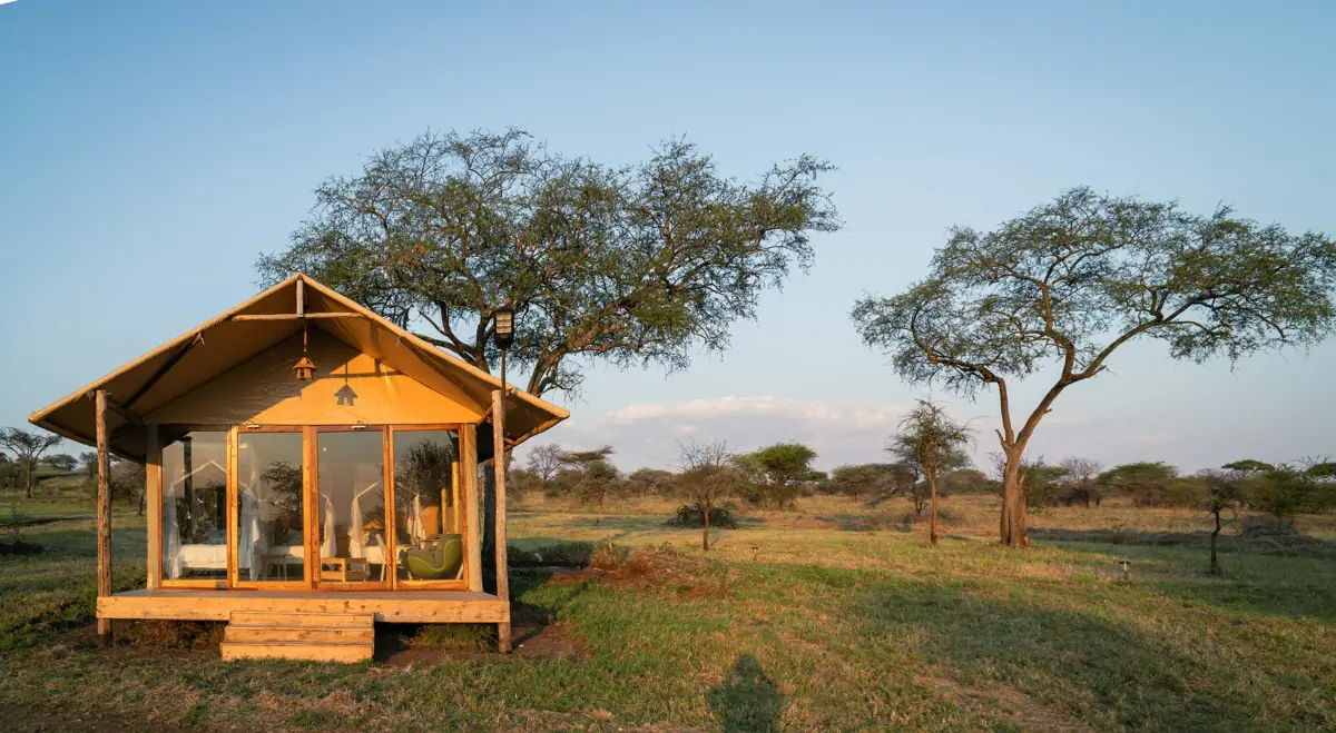 Out in Africa Serengeti Camp