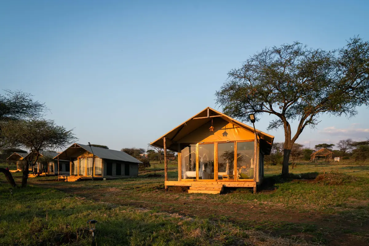 Out in Africa Serengeti Camp, photo 2