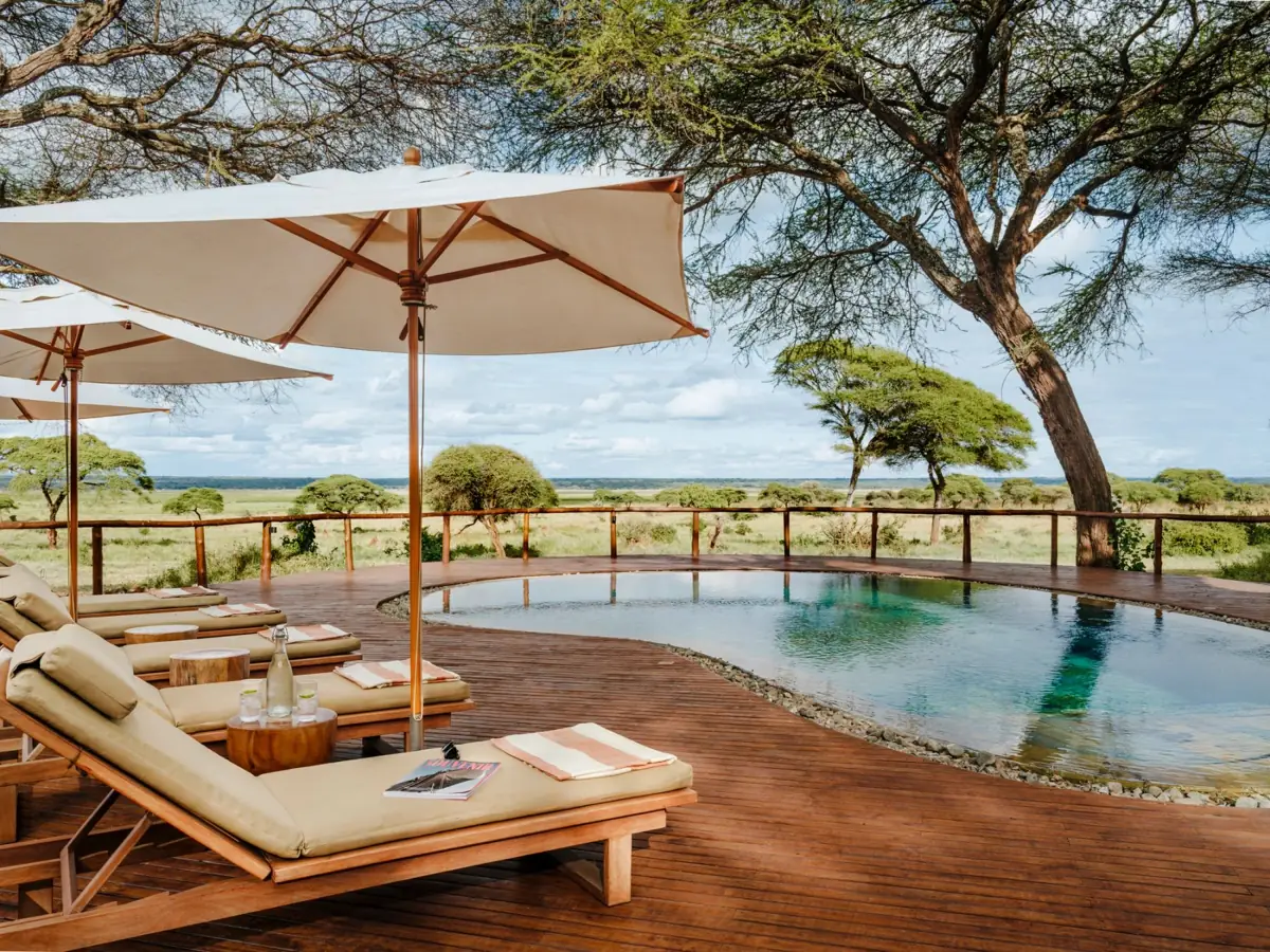 Sanctuary Swala, photo 2