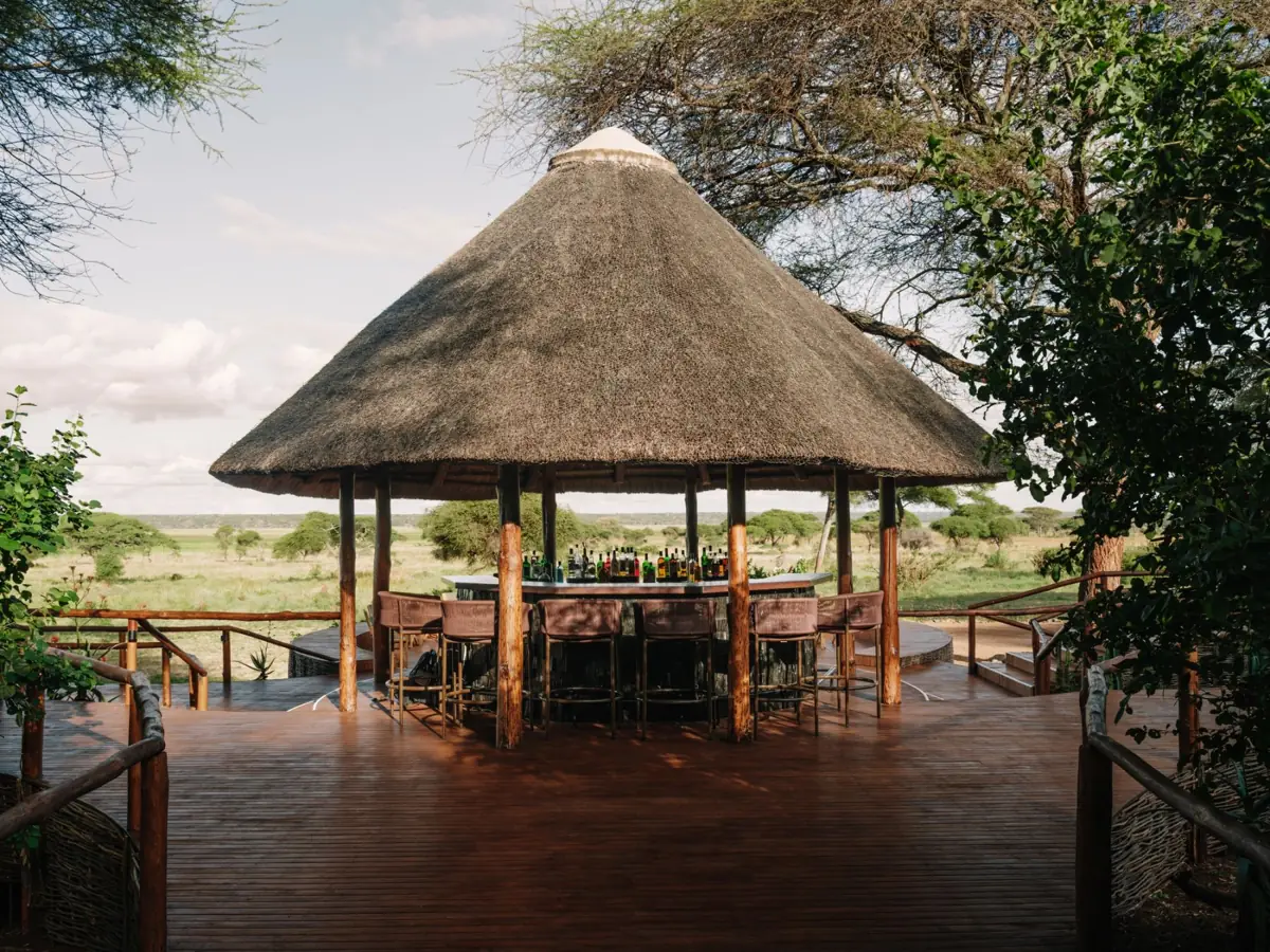 Sanctuary Swala, photo 3