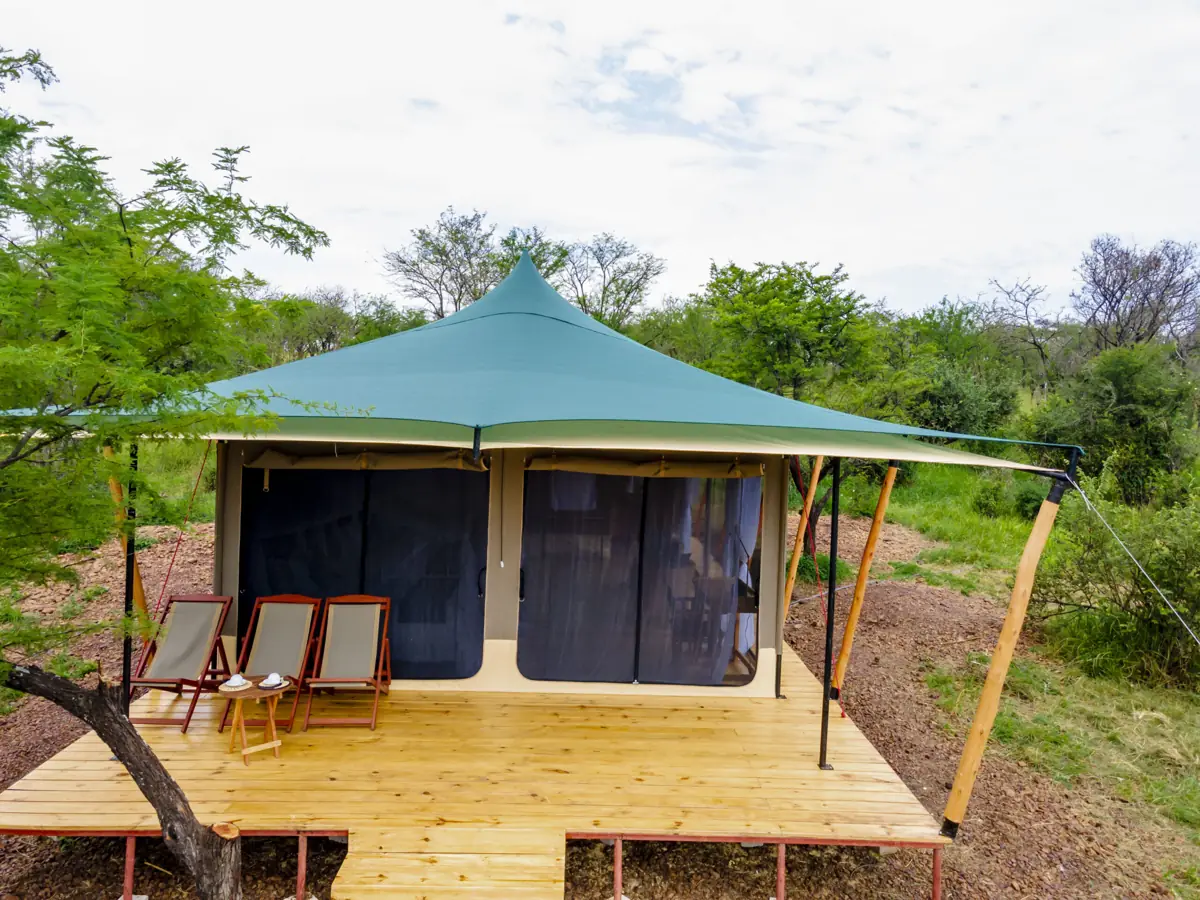Serengeti Classic View (Central), photo 2