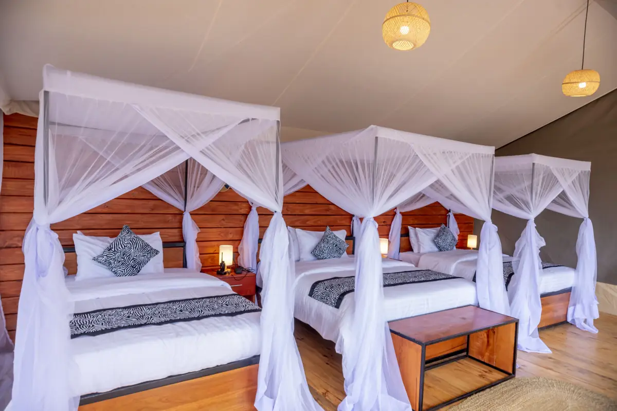 Serengeti Classic View (Central), photo 4