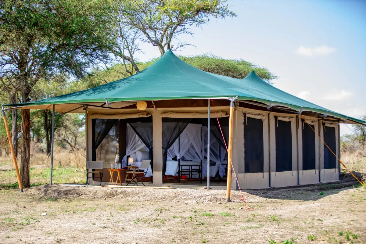 Serengeti Classic View (Ndutu)
