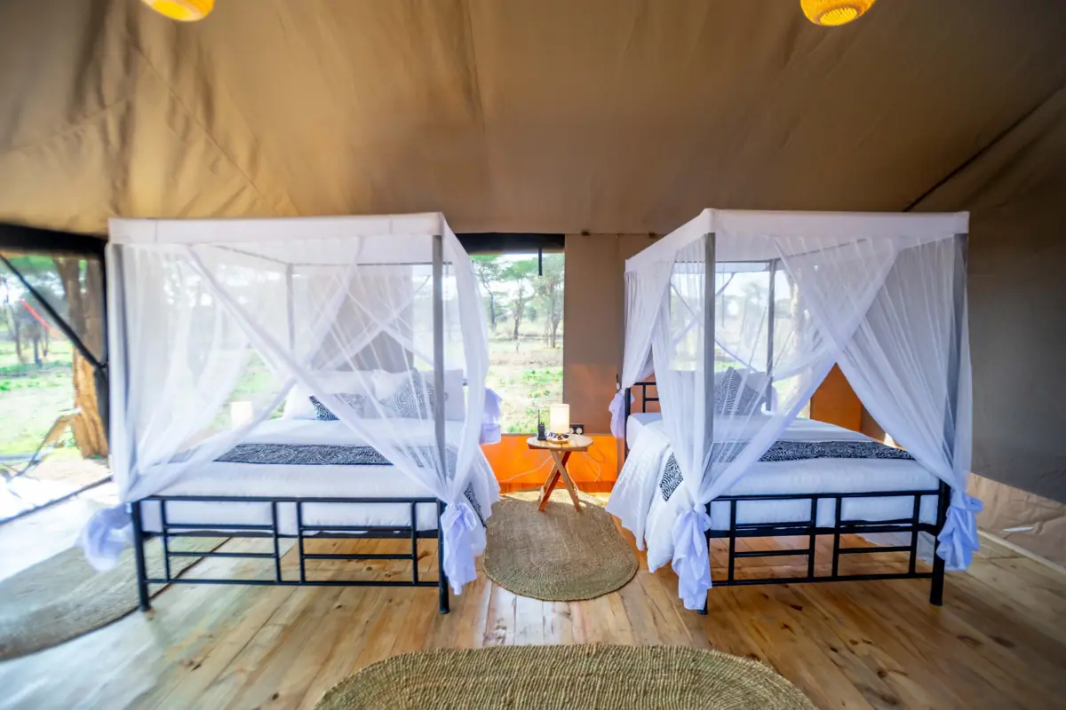 Serengeti Classic View (Ndutu), photo 3