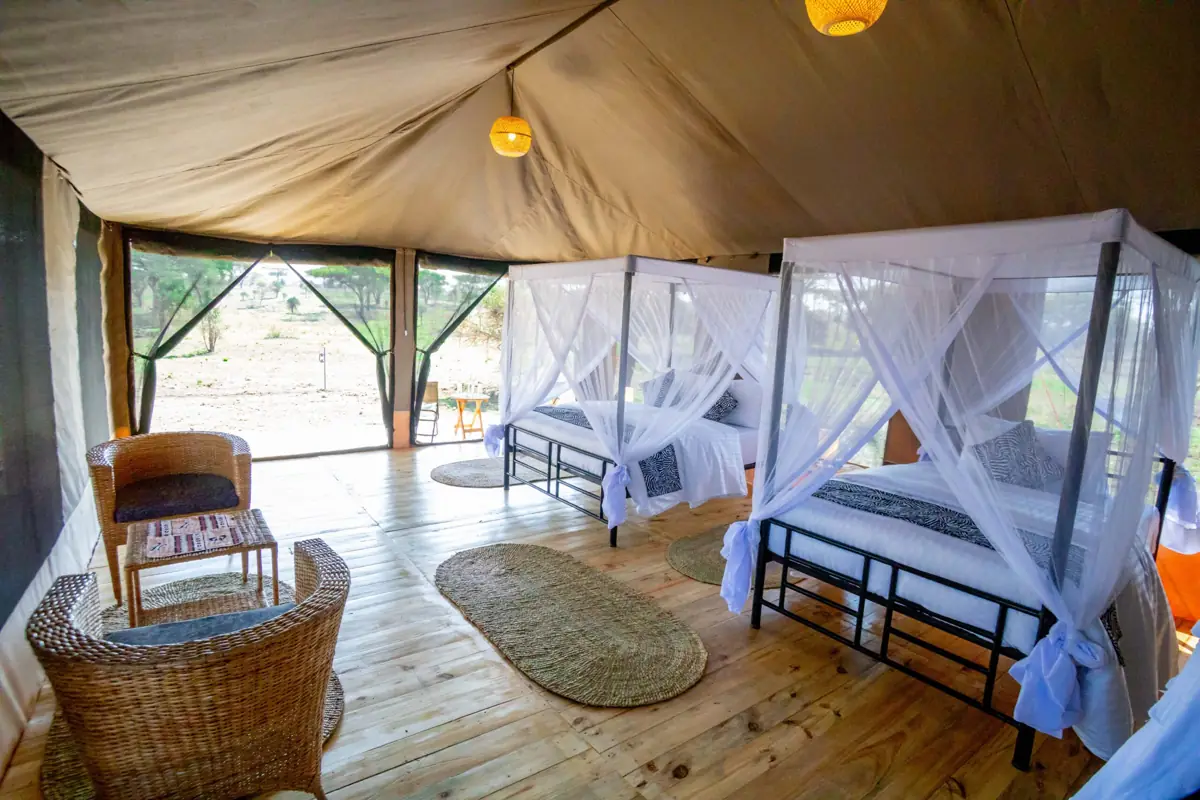 Serengeti Classic View (Ndutu), photo 4