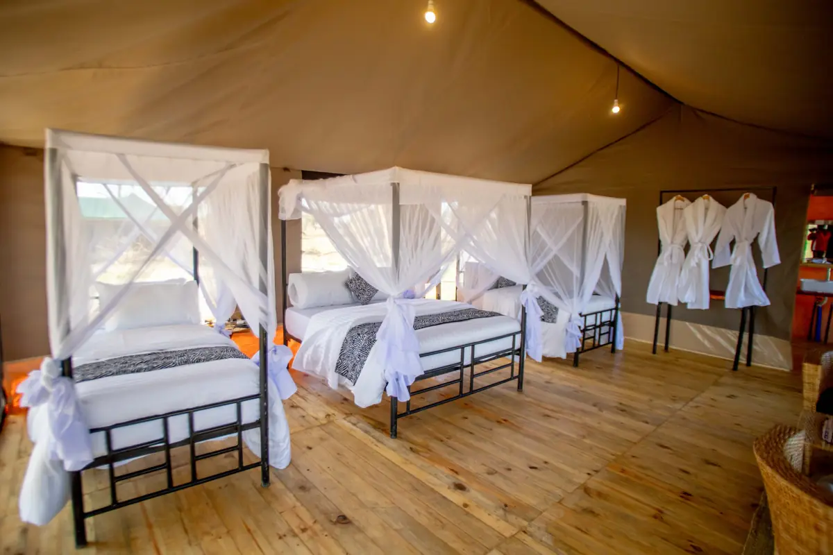 Serengeti Classic View (Ndutu), photo 5