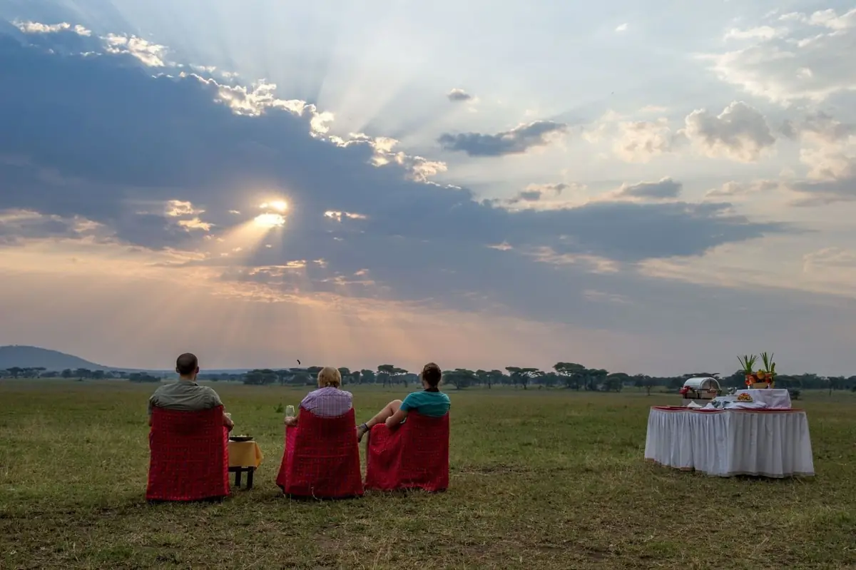 Serengeti Serena, photo 3
