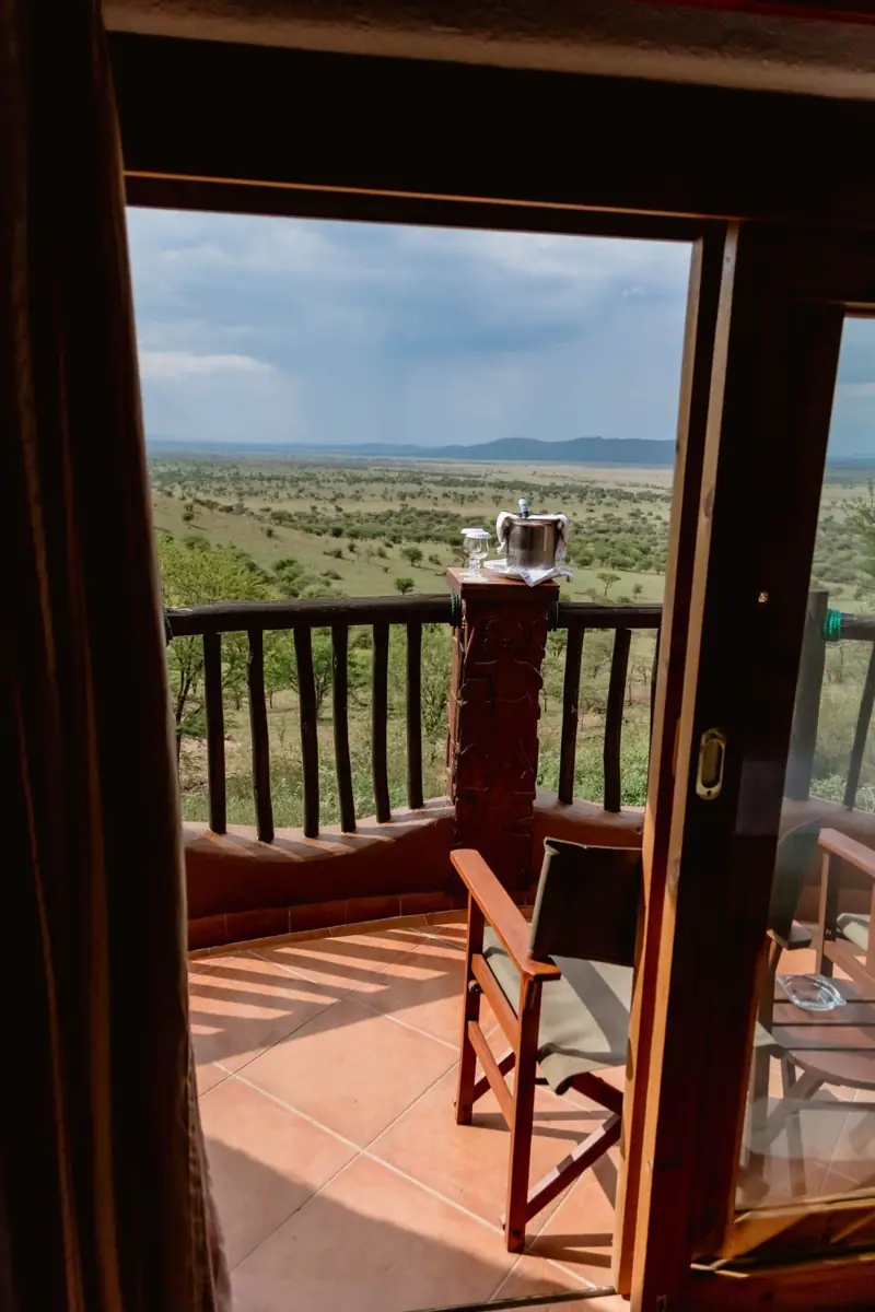 Serengeti Serena, photo 5